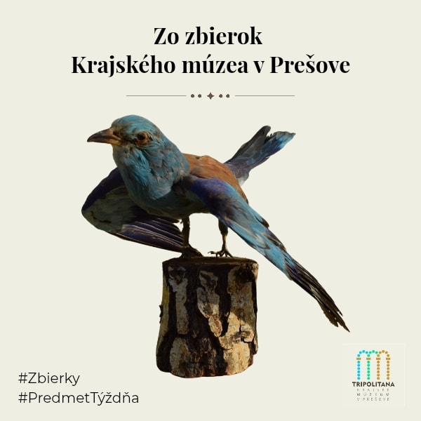 600199278_1440985084697994_1551843853492939508_n