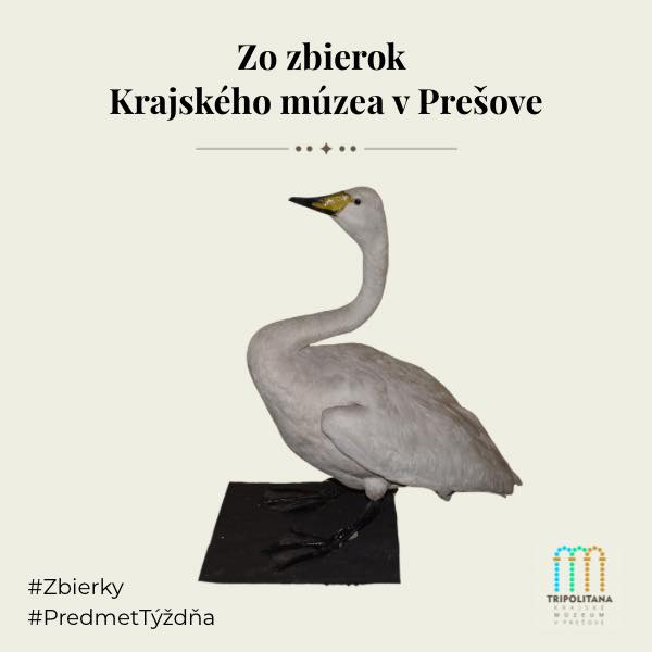 634731038_1494854482644387_5693815871769994037_n