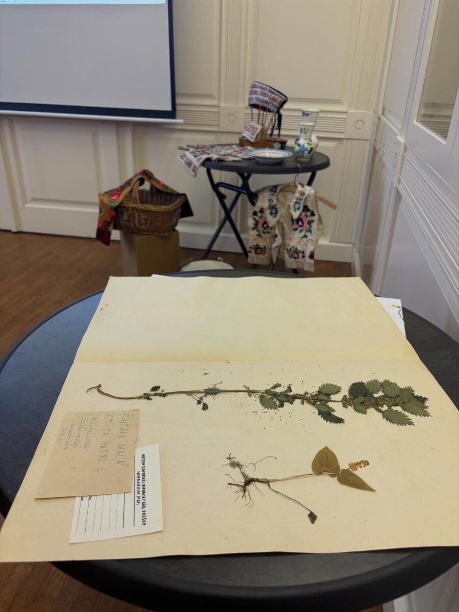 669452161_18418985029192848_1309946063954397646_n