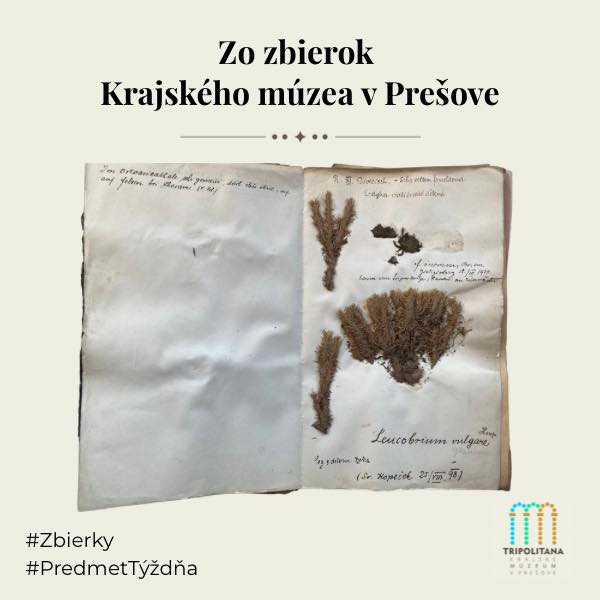 669588504_1545482690914899_5427429484181238340_n