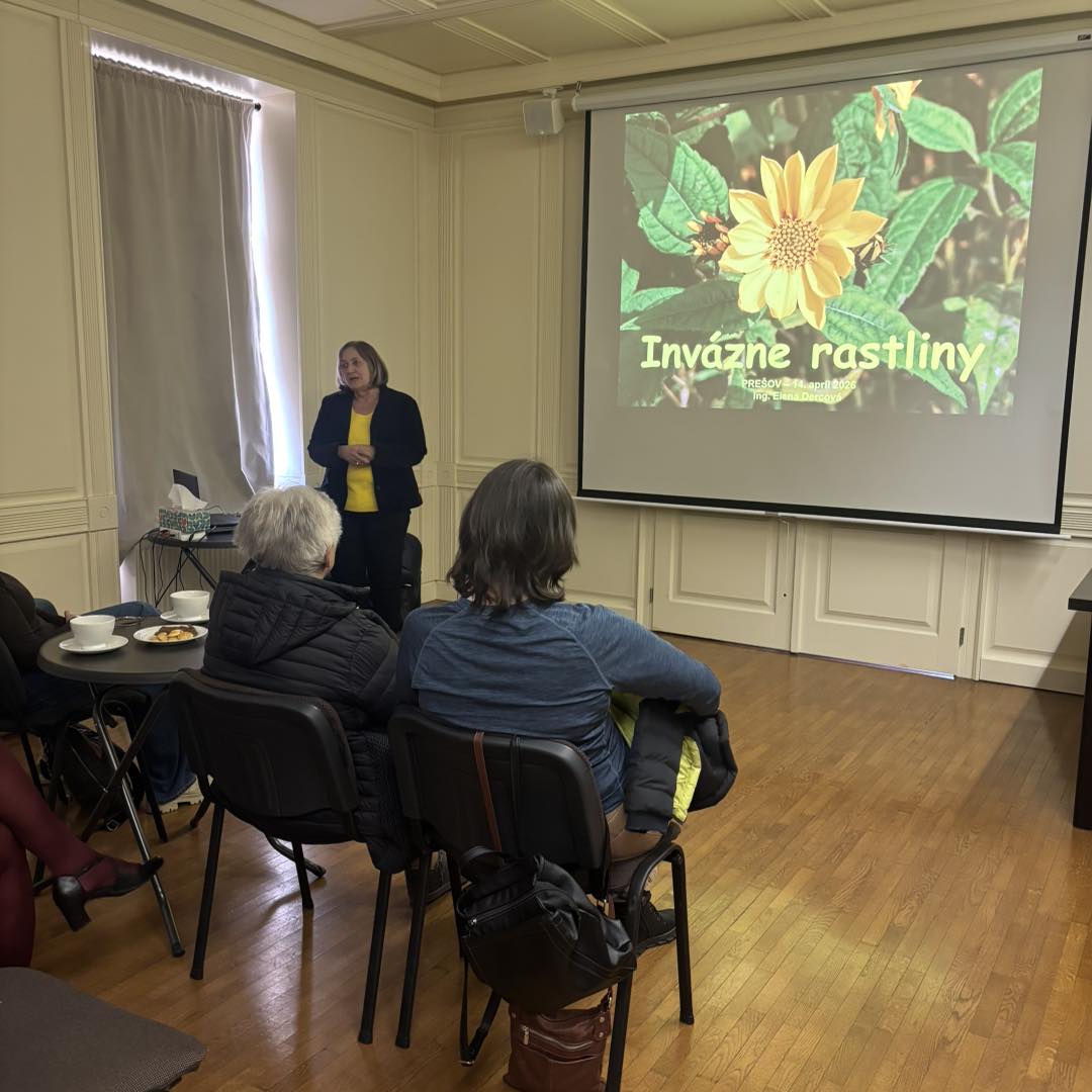 672196495_1548466187283216_6774658298035136845_n