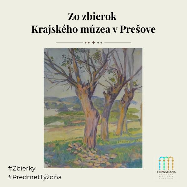 675761262_1550768250386343_8947645956672802512_n